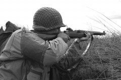 dnw_1