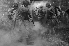 dnw_11